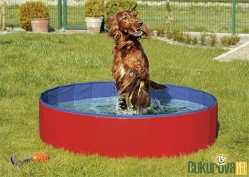 KARLIE KÖPEK HAVUZU 80 CM ÇAP - MAVİ KIRMIZI 
