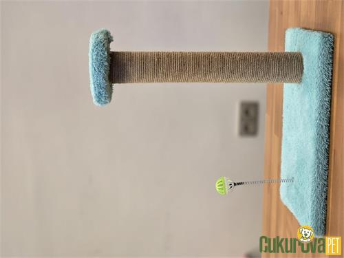 C.P. KEDİ TIRMALAMA TAHTASI HACIYATMAZLI 40 x 25 x 40 CM - TURKUAZ 