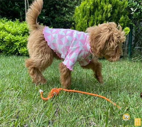 BABYİSH PEMBE KALPLİ KOLLU TİŞÖRT