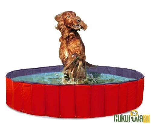 KARLIE KÖPEK HAVUZU 160 CM ÇAP - MAVİ KIRMIZI 