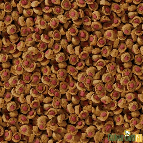 Sera Koi Summer Professional Havuz Yemi 1 Kg