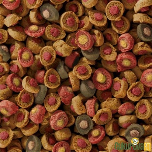 Sera Koi Probiotic Professional Havuz Yemi 500 Gr