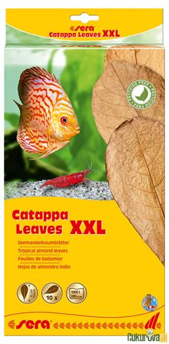 SERA CATAPPA YAPRAĞI XXL - 32 CM - 10'LU PAKET 