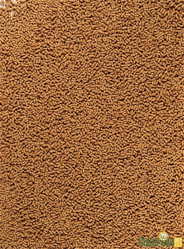 Tetra Pond Sticks Havuz Yemi 10 L - 1.2 Kg