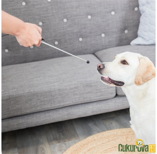 Trixie Köpek Eğitim Clicker Karışık Renkli / 14 - 65 Cm