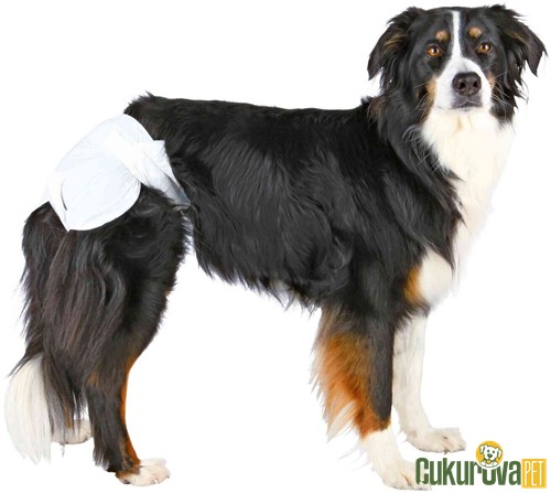 Trixie Çiş Köpek Pedi XL 12 Adet / 40 - 58 Cm