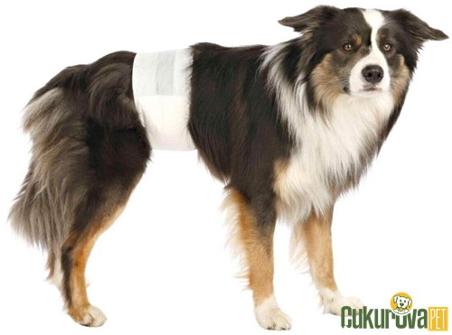 Trixie Erkek Köpek Pedi L - XL / 60 - 80 Cm / 12 Adet