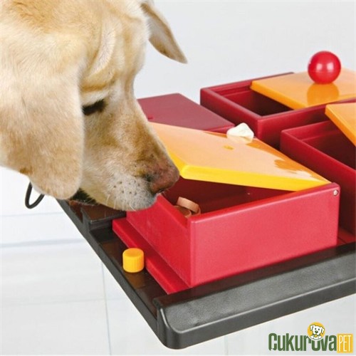 Trixie Poker Zeka ve Eği̇ti̇m Köpek Oyuncağı Karışık Renkli - 31 x 10 x 31 Cm