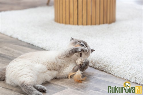 Trixie Matatabili Toplu ve Tüylü Kedi Oyuncağı 20 Cm