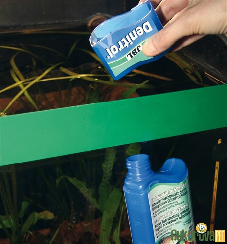 Jbl Denitrol Bakteri Başlatıcı Su Düzenleyici 250 Ml