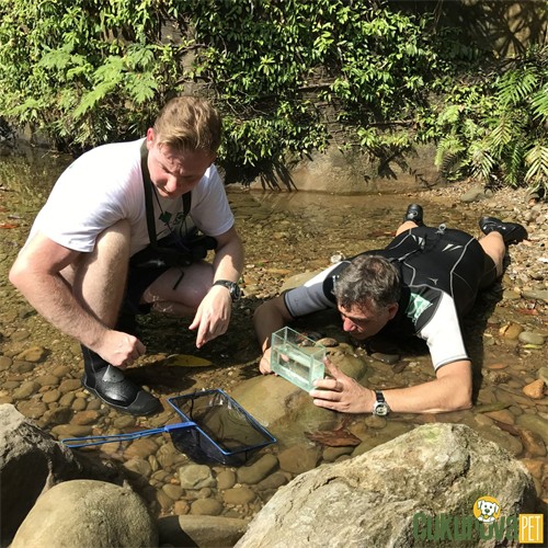 Jbl Premium Akvaryum Kepçesi 25 Cm