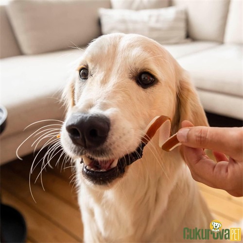8 In 1 Delights Duck Spirals Ördekli Köpek Ödül Kemiği 6 Adet - 85 Gr