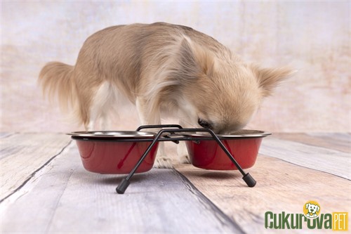 Flamingo Arjun Standlı İkili Kedi & Köpek Çelik Mama Ve Su Kabı Kırmızı - 2 x 380 Ml