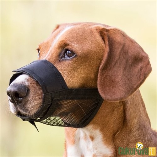 TRIXIE FİLELİ KÖPEK AĞIZLIĞI 14 - 18 CM - XS - S 