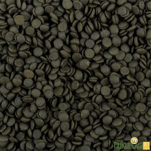 Tropical Marine Power Probiotic Soft Formula Size L Chips Granül Yem 100 Ml - 52 Gr