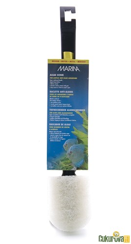 MARINA YOSUN FIRÇASI ORTA 