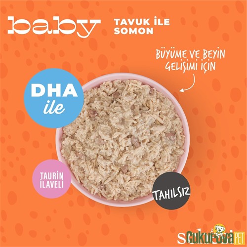 Schesir Complete Baby Tavuklu ve Somonlu Yavru Kedi Yaş Maması 70 Gr