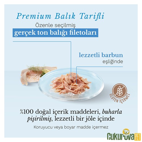 Schesir Complements In Jelly Ton Balıklı ve Barbun Balıklı Yetişkin Kedi Yaş Maması 70 Gr