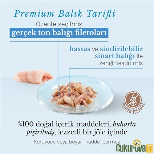 Schesir In Jelly Ton ve Sinarit Balıklı Yetişkin Kedi Yaş Maması 85 Gr