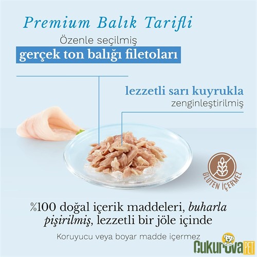 Schesir In Jelly Ton Balıklı ve Sarı Kuyruk Balıklı Yetişkin Kedi Yaş Maması 85 Gr