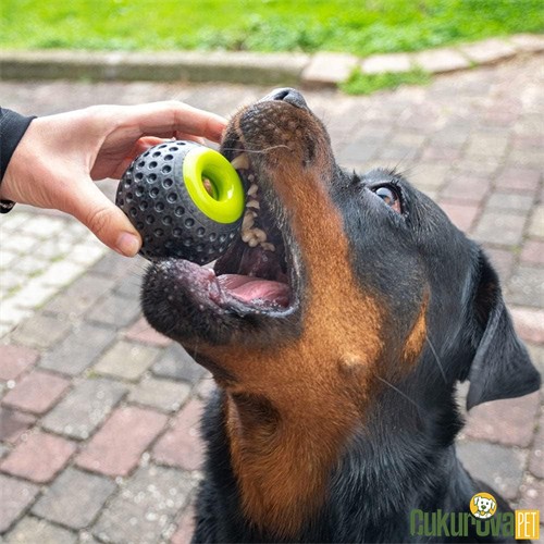 Ferplast Chewa Boing Ödül Hazneli Top Köpek Oyuncağı 8 Cm
