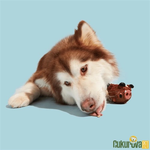 Bark Boris Ödül Hazneli Domuz Köpek Oyuncağı M / 21.6 x 14 x 9.1 Cm