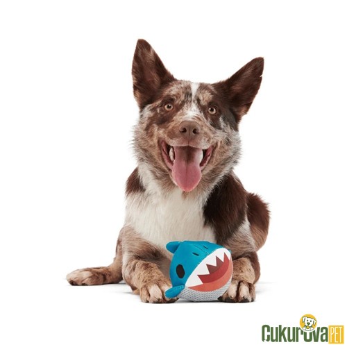 Bark Dwight Köpek Balığı Çiğneme Köpek Oyuncağı L / 12.5 x 11 x 11 Cm