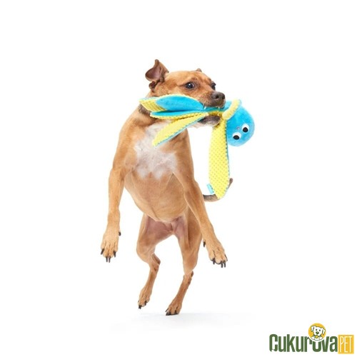 Bark Odd Otto Sesli Ahtapot Köpek Oyuncağı