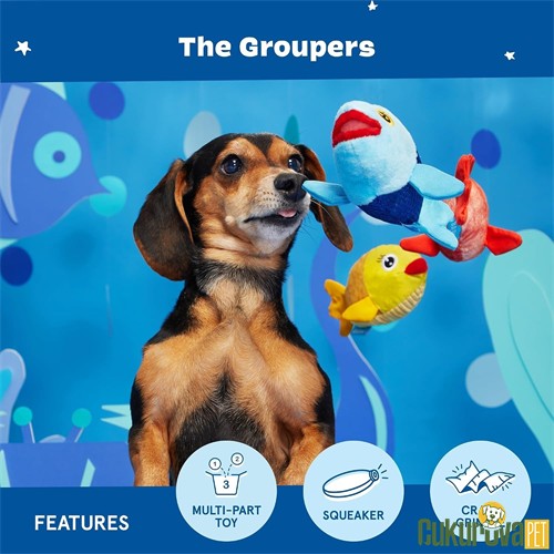 Bark Groupers Sesli Peluş Köpek Oyuncağı Xs - S / 3 Adet