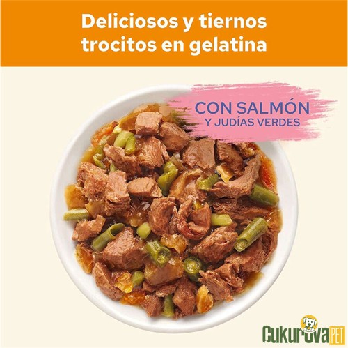 Cat Chow Adult Somon ve Yeşil Fasulyeli Yetişkin Kedi Yaş Maması 85 Gr