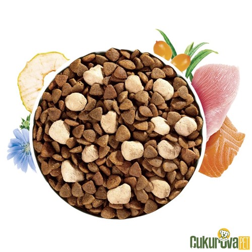 Brit Care Haircare With Raw Delights Somonlu ve Hindili Yetişkin Kedi Maması 2 Kg
