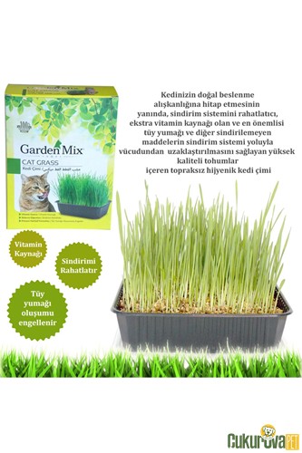 Gardenmix Cat Grass Kedi Çimi