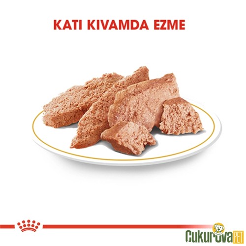 Royal Canin Adult Yorkshire Terrier Yetişkin Köpek Yaş Maması 85 Gr
