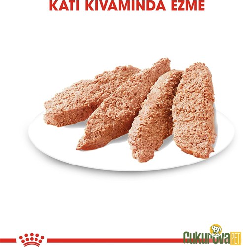 Royal Canin Exigent All Size Yetişkin Köpek Yaş Maması 85 Gr
