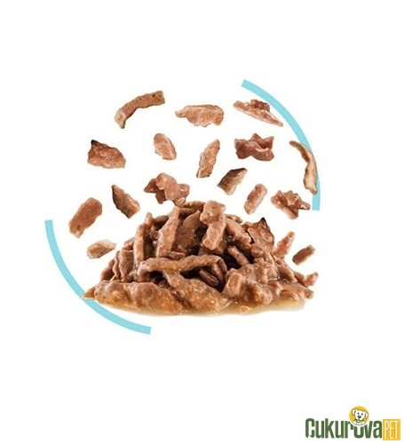 Royal Canin Sensory Smell Yetişkin Kedi Yaş Maması 85 Gr