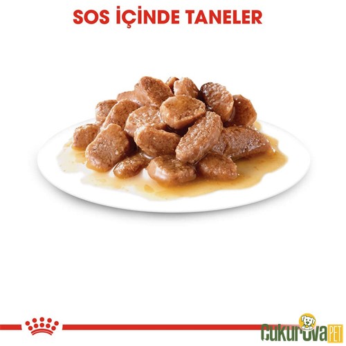 Royal Canin Care Hair&Skin Yetişkin Kedi Yaş Maması 85 Gr