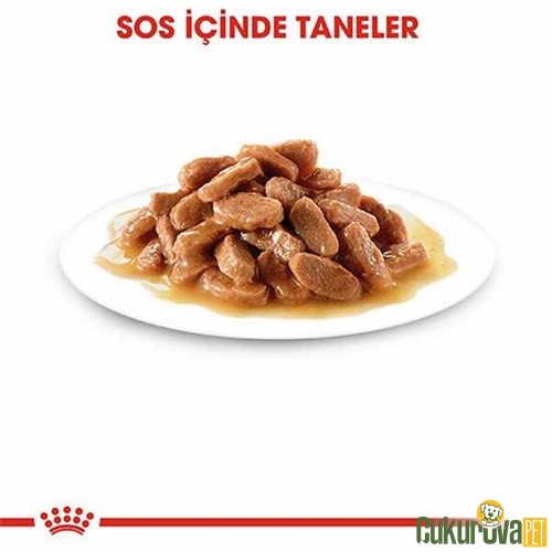 Royal Canin Kitten In Gravy Yavru Kedi Yaş Maması 85 Gr