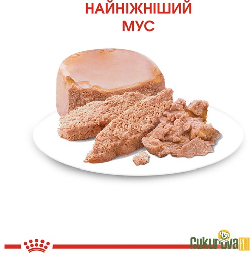 Royal Canin Mother & Babycat Yavru Kedi Yaş Maması 195 Gr