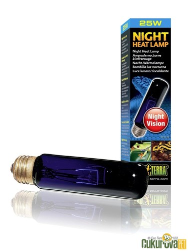 Exo Terra Night Heat Lamp Gece Lambası Ve Isıtıcısı 25 W