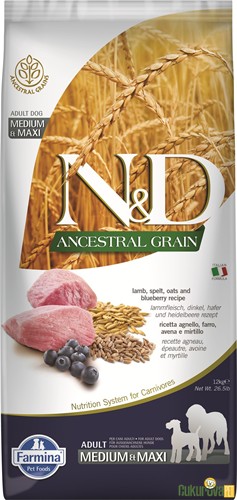 N&D Ancestral Grain Adult Medium & Maxi Kuzu Etli Ve Yaban Mersinli Yetişkin Köpek Maması 12 Kg