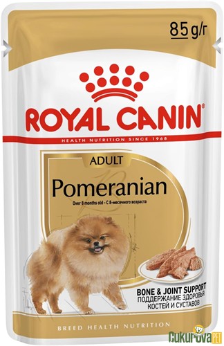 Royal Canin Adult Pomeranian Yetişkin Köpek Yaş Maması 85 Gr
