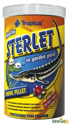 Tropical Sterlet In Garden Pond Havuz Yemi 1000 Ml - 650 Gr