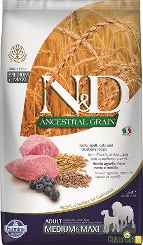 N&D Ancestral Grain Adult Medium & Maxi Kuzu Etli Ve Yaban Mersinli Yetişki̇n Köpek Maması 2.5 Kg