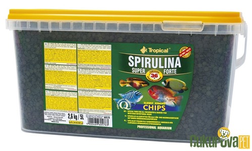 Tropical Spirulina Super Forte Chips Granül Yem 5 L - 2.6 Kg