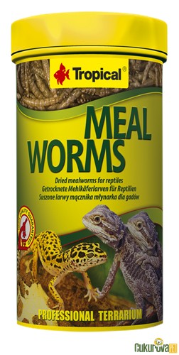 Tropical Meal Worms Un Kurdu 250 Ml - 30 Gr