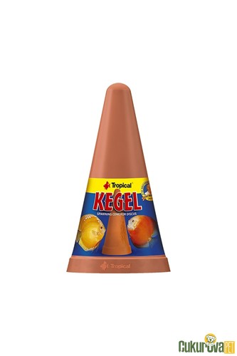 Tropical Kegel Discus Yumurtlama Konisi