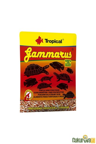 Tropical Gammarus 12 Gr