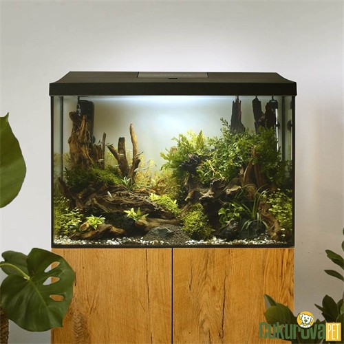 Aquael Leddy Xl Day & Night 60 Akvaryum Seti 72 L - Siyah