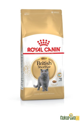 Royal Canin Adult British Shorthair Yetişkin Kedi Maması 10 Kg