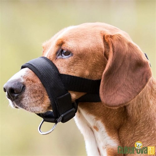 TRIXIE KÖPEK AĞIZLIĞI DOBERMAN - L
